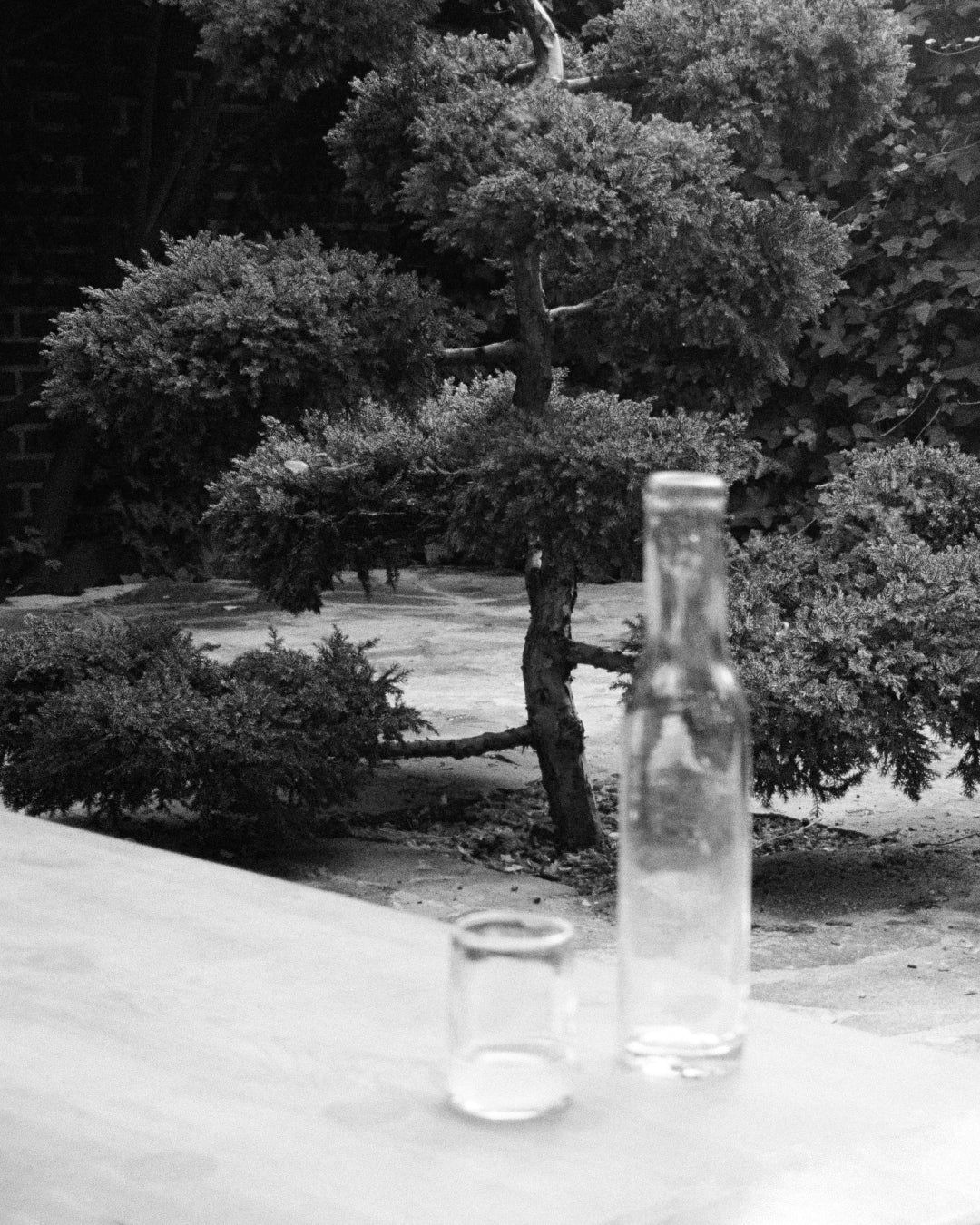 0405 Glass | Small | Set of Two - Image 5
