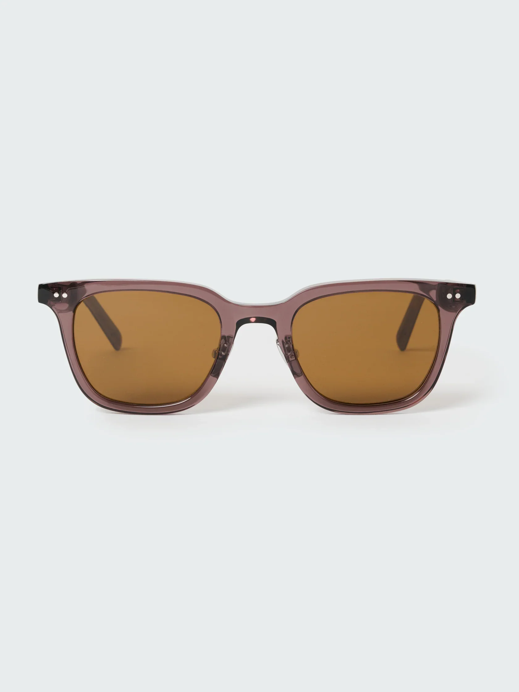 Type 1 Sunglasses | Brown