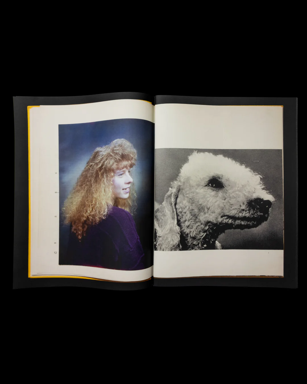 Dead Pages | No. 4 Mój Pies | Wysocka / Pogo - Image 3