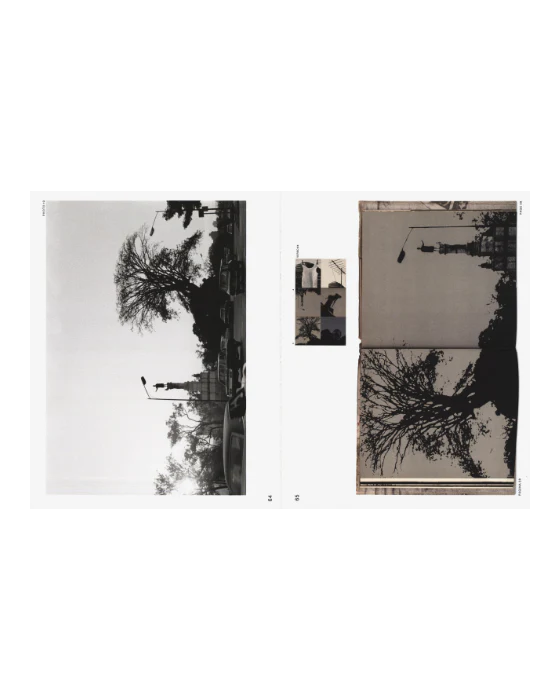 Deconstructing Sistema Nervioso | Lange, Brandli & Chalbaud - Image 2