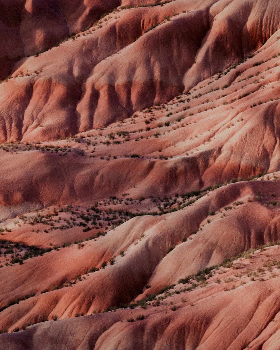 Essential Oil Dropper | Painted Desert | 10 ml - Image 3