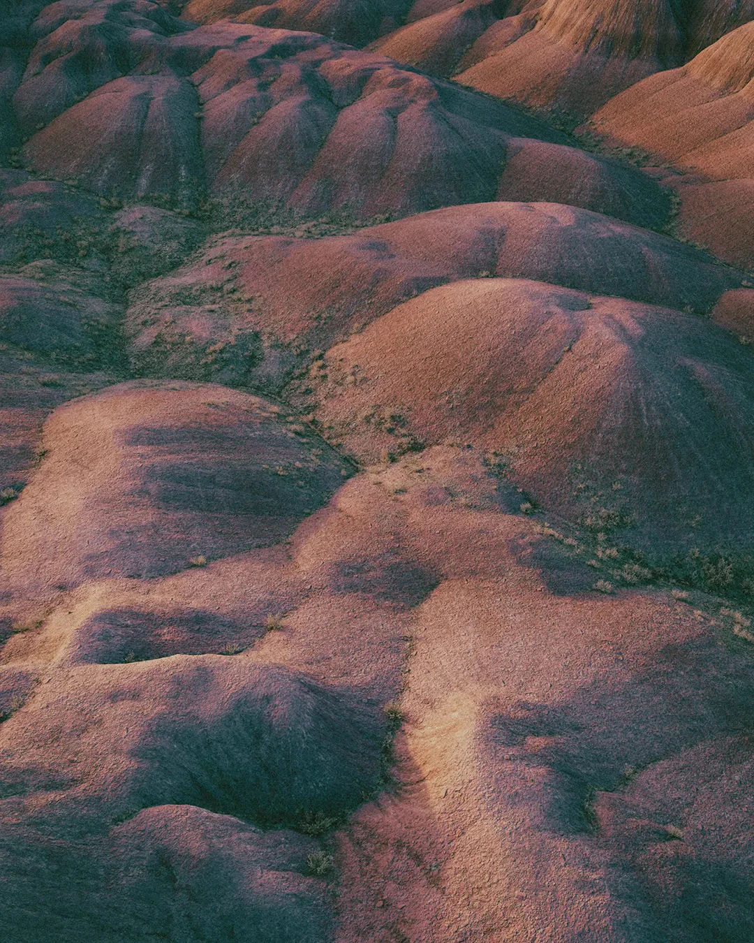 Eau de Parfum | Painted Desert | 50 ml - Image 3