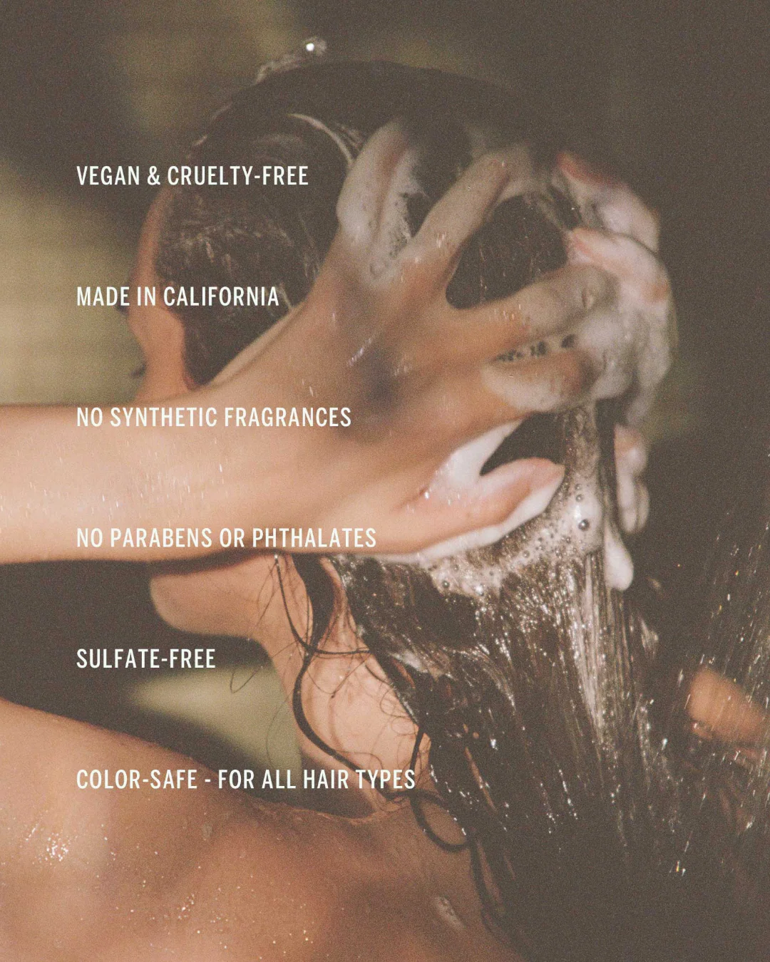 Shampoo | Cypress - Image 3