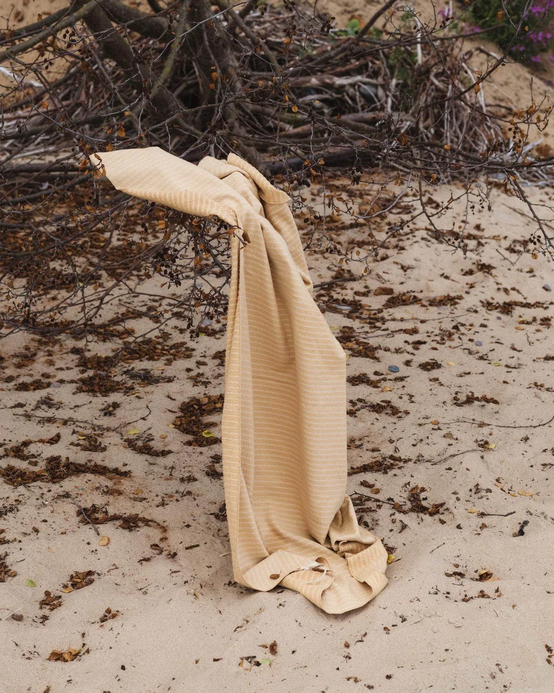Terry Towel | Sand/Ecru Stripes - Image 4
