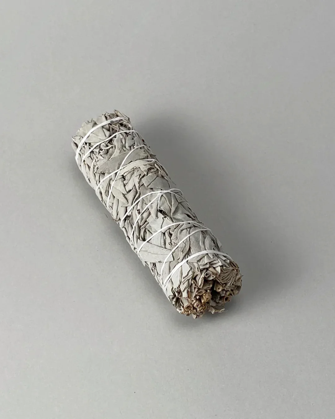 Wild White Sage - Image 2